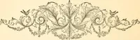 Picture 176 of 258 from Physiognomy illustrated ; or, Nature's revelations of character : a description of the mental, moral, and volitive dispositions of mankind, as manifested in the human form and countenance (1891), leaf 329
