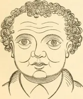 An illustration from Physiognomy illustrated ; or, Nature's revelations of character : a description of the mental, moral, and volitive dispositions of mankind, as manifested in the human form and countenance (1891)