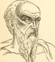 An illustration from Physiognomy illustrated ; or, Nature's revelations of character : a description of the mental, moral, and volitive dispositions of mankind, as manifested in the human form and countenance (1891)