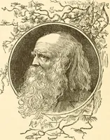 An illustration from Physiognomy illustrated ; or, Nature's revelations of character : a description of the mental, moral, and volitive dispositions of mankind, as manifested in the human form and countenance (1891)