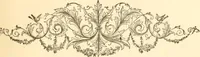 An illustration from Physiognomy illustrated ; or, Nature's revelations of character : a description of the mental, moral, and volitive dispositions of mankind, as manifested in the human form and countenance (1891)