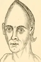 An illustration from Physiognomy illustrated ; or, Nature's revelations of character : a description of the mental, moral, and volitive dispositions of mankind, as manifested in the human form and countenance (1891)