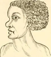 An illustration from Physiognomy illustrated ; or, Nature's revelations of character : a description of the mental, moral, and volitive dispositions of mankind, as manifested in the human form and countenance (1891)