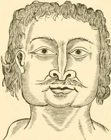 An illustration from Physiognomy illustrated ; or, Nature's revelations of character : a description of the mental, moral, and volitive dispositions of mankind, as manifested in the human form and countenance (1891)