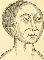 An illustration from Physiognomy illustrated ; or, Nature's revelations of character : a description of the mental, moral, and volitive dispositions of mankind, as manifested in the human form and countenance (1891)