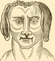 An illustration from Physiognomy illustrated ; or, Nature's revelations of character : a description of the mental, moral, and volitive dispositions of mankind, as manifested in the human form and countenance (1891)