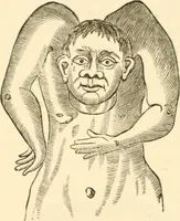 An illustration from Physiognomy illustrated ; or, Nature's revelations of character : a description of the mental, moral, and volitive dispositions of mankind, as manifested in the human form and countenance (1891)