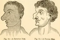 An illustration from Physiognomy illustrated ; or, Nature's revelations of character : a description of the mental, moral, and volitive dispositions of mankind, as manifested in the human form and countenance (1891)