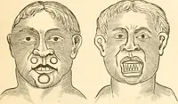 An illustration from Physiognomy illustrated ; or, Nature's revelations of character : a description of the mental, moral, and volitive dispositions of mankind, as manifested in the human form and countenance (1891)