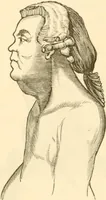 An illustration from Physiognomy illustrated ; or, Nature's revelations of character : a description of the mental, moral, and volitive dispositions of mankind, as manifested in the human form and countenance (1891)