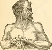 An illustration from Physiognomy illustrated ; or, Nature's revelations of character : a description of the mental, moral, and volitive dispositions of mankind, as manifested in the human form and countenance (1891)