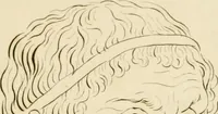Picture 7 of 52 from Physiognomical sketches by Lavater (1802), leaf 22