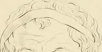 Picture 34 of 52 from Physiognomical sketches by Lavater (1802), leaf 74