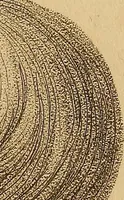 An illustration from The physiognomical system of Drs. Gall and Spurzheim; founded on an anatomical and physiological examination of the nervous system in general, and of the brain in particular; and indicating the dispositions and manifestations of the mind (1815)