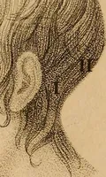 An illustration from The physiognomical system of Drs. Gall and Spurzheim; founded on an anatomical and physiological examination of the nervous system in general, and of the brain in particular; and indicating the dispositions and manifestations of the mind (1815)