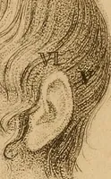 An illustration from The physiognomical system of Drs. Gall and Spurzheim; founded on an anatomical and physiological examination of the nervous system in general, and of the brain in particular; and indicating the dispositions and manifestations of the mind (1815)