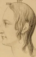 An illustration from The physiognomical system of Drs. Gall and Spurzheim; founded on an anatomical and physiological examination of the nervous system in general, and of the brain in particular; and indicating the dispositions and manifestations of the mind (1815)
