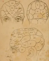 An illustration from The physiognomical system of Drs. Gall and Spurzheim; founded on an anatomical and physiological examination of the nervous system in general, and of the brain in particular; and indicating the dispositions and manifestations of the mind (1815)
