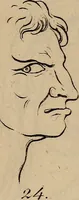Picture 17 of 68 from Physiognomik. Zur Beförderung der Menschenkenntniss und Menschenliebe (1829), leaf 186