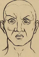 Picture 20 of 68 from Physiognomik. Zur Beförderung der Menschenkenntniss und Menschenliebe (1829), leaf 186