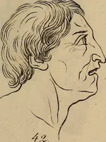 Picture 29 of 68 from Physiognomik. Zur Beförderung der Menschenkenntniss und Menschenliebe (1829), leaf 190
