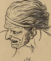 Picture 37 of 68 from Physiognomik. Zur Beförderung der Menschenkenntniss und Menschenliebe (1829), leaf 192