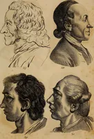 Picture 66 of 68 from Physiognomik. Zur Beförderung der Menschenkenntniss und Menschenliebe (1829), leaf 228