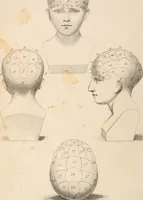 Picture 9 of 10 from Physiognomy founded on physiology, and applied to various countries, professions, and individuals; (1834), leaf 261
