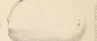 Picture 10 of 10 from Physiognomy founded on physiology, and applied to various countries, professions, and individuals; (1834), leaf 339