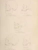 An illustration from Physiognomy founded on physiology, and applied to various countries, professions, and individuals; (1834)