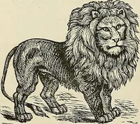 Picture 47 of 255 from Physiognomy illustrated; or, nature's revelations of character. A description of the mental, moral, and volitive dispositions of mankind, as manifested in the human form and countenance (1887), leaf 177