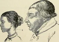 Picture 56 of 255 from Physiognomy illustrated; or, nature's revelations of character. A description of the mental, moral, and volitive dispositions of mankind, as manifested in the human form and countenance (1887), leaf 188