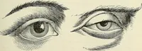 Picture 59 of 255 from Physiognomy illustrated; or, nature's revelations of character. A description of the mental, moral, and volitive dispositions of mankind, as manifested in the human form and countenance (1887), leaf 192