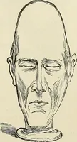Picture 63 of 255 from Physiognomy illustrated; or, nature's revelations of character. A description of the mental, moral, and volitive dispositions of mankind, as manifested in the human form and countenance (1887), leaf 195