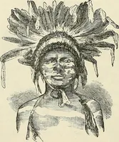 Picture 77 of 255 from Physiognomy illustrated; or, nature's revelations of character. A description of the mental, moral, and volitive dispositions of mankind, as manifested in the human form and countenance (1887), leaf 207