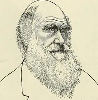 Picture 95 of 255 from Physiognomy illustrated; or, nature's revelations of character. A description of the mental, moral, and volitive dispositions of mankind, as manifested in the human form and countenance (1887), leaf 221