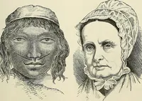 Picture 129 of 255 from Physiognomy illustrated; or, nature's revelations of character. A description of the mental, moral, and volitive dispositions of mankind, as manifested in the human form and countenance (1887), leaf 250