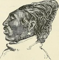 Picture 151 of 255 from Physiognomy illustrated; or, nature's revelations of character. A description of the mental, moral, and volitive dispositions of mankind, as manifested in the human form and countenance (1887), leaf 274