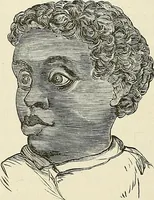 Picture 166 of 255 from Physiognomy illustrated; or, nature's revelations of character. A description of the mental, moral, and volitive dispositions of mankind, as manifested in the human form and countenance (1887), leaf 311