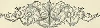 Picture 176 of 255 from Physiognomy illustrated; or, nature's revelations of character. A description of the mental, moral, and volitive dispositions of mankind, as manifested in the human form and countenance (1887), leaf 331