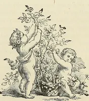 Picture 178 of 255 from Physiognomy illustrated; or, nature's revelations of character. A description of the mental, moral, and volitive dispositions of mankind, as manifested in the human form and countenance (1887), leaf 367