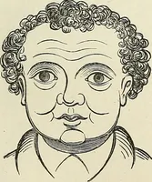 Picture 184 of 255 from Physiognomy illustrated; or, nature's revelations of character. A description of the mental, moral, and volitive dispositions of mankind, as manifested in the human form and countenance (1887), leaf 388