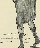 Picture 190 of 255 from Physiognomy illustrated; or, nature's revelations of character. A description of the mental, moral, and volitive dispositions of mankind, as manifested in the human form and countenance (1887), leaf 399