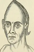 Picture 220 of 255 from Physiognomy illustrated; or, nature's revelations of character. A description of the mental, moral, and volitive dispositions of mankind, as manifested in the human form and countenance (1887), leaf 536