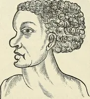 Picture 223 of 255 from Physiognomy illustrated; or, nature's revelations of character. A description of the mental, moral, and volitive dispositions of mankind, as manifested in the human form and countenance (1887), leaf 538