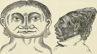 Picture 224 of 255 from Physiognomy illustrated; or, nature's revelations of character. A description of the mental, moral, and volitive dispositions of mankind, as manifested in the human form and countenance (1887), leaf 539