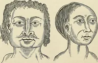 Picture 225 of 255 from Physiognomy illustrated; or, nature's revelations of character. A description of the mental, moral, and volitive dispositions of mankind, as manifested in the human form and countenance (1887), leaf 539