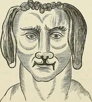 Picture 226 of 255 from Physiognomy illustrated; or, nature's revelations of character. A description of the mental, moral, and volitive dispositions of mankind, as manifested in the human form and countenance (1887), leaf 540