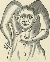 Picture 227 of 255 from Physiognomy illustrated; or, nature's revelations of character. A description of the mental, moral, and volitive dispositions of mankind, as manifested in the human form and countenance (1887), leaf 541
