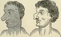 Picture 229 of 255 from Physiognomy illustrated; or, nature's revelations of character. A description of the mental, moral, and volitive dispositions of mankind, as manifested in the human form and countenance (1887), leaf 542
